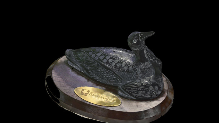 Loon 3D Model
