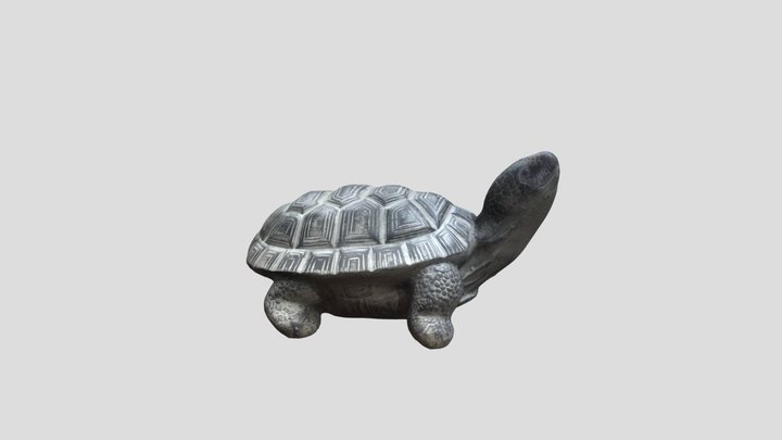 W23-Capstone - 3D Scan - Turtle 3D Model