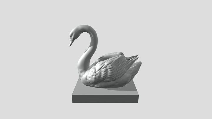 Swan 3D Model