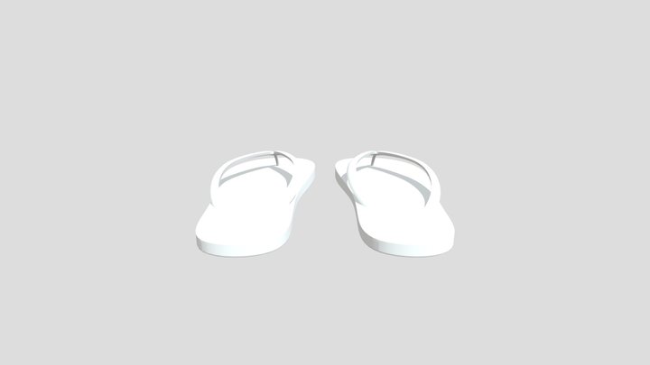 Flip Flops 3D Model