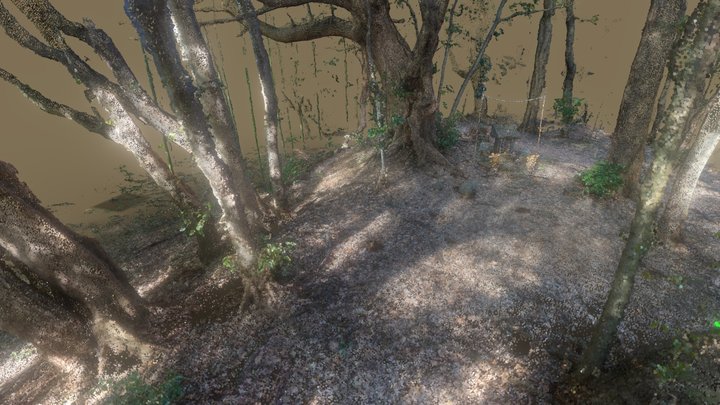Small Shrine in the forest (2022) 3D Model