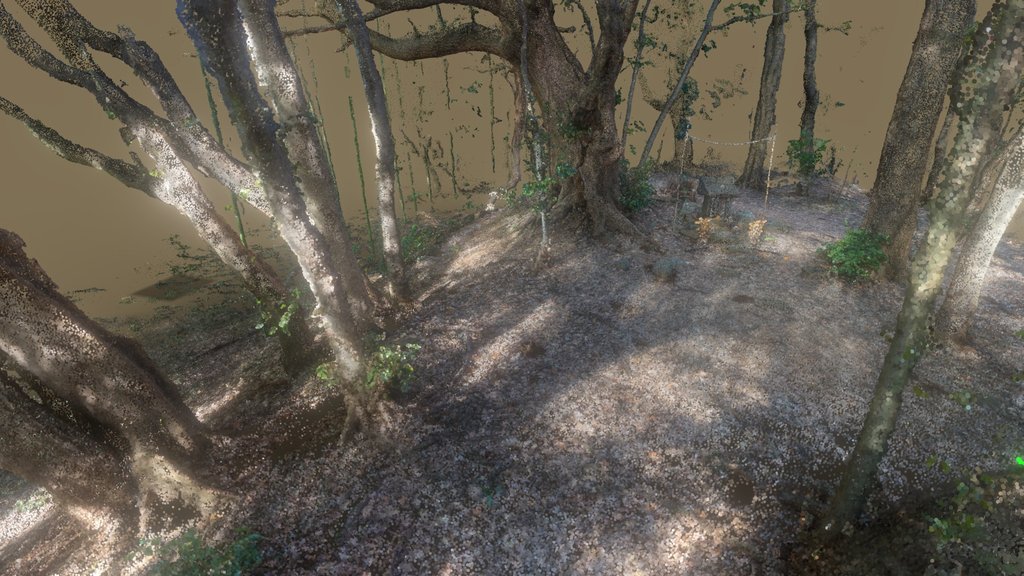 Small Shrine in the forest (2022)