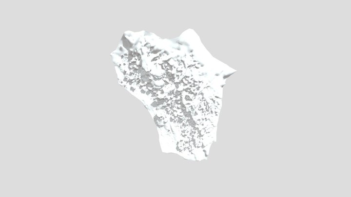 Moonfloor 3D Model