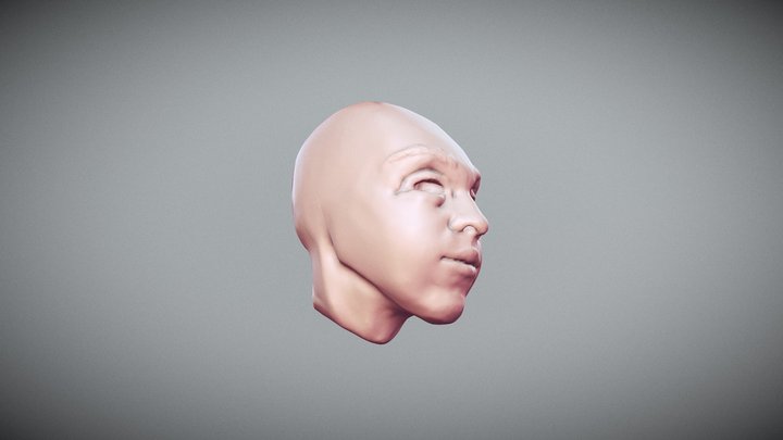 HeadSculpt 3D Model