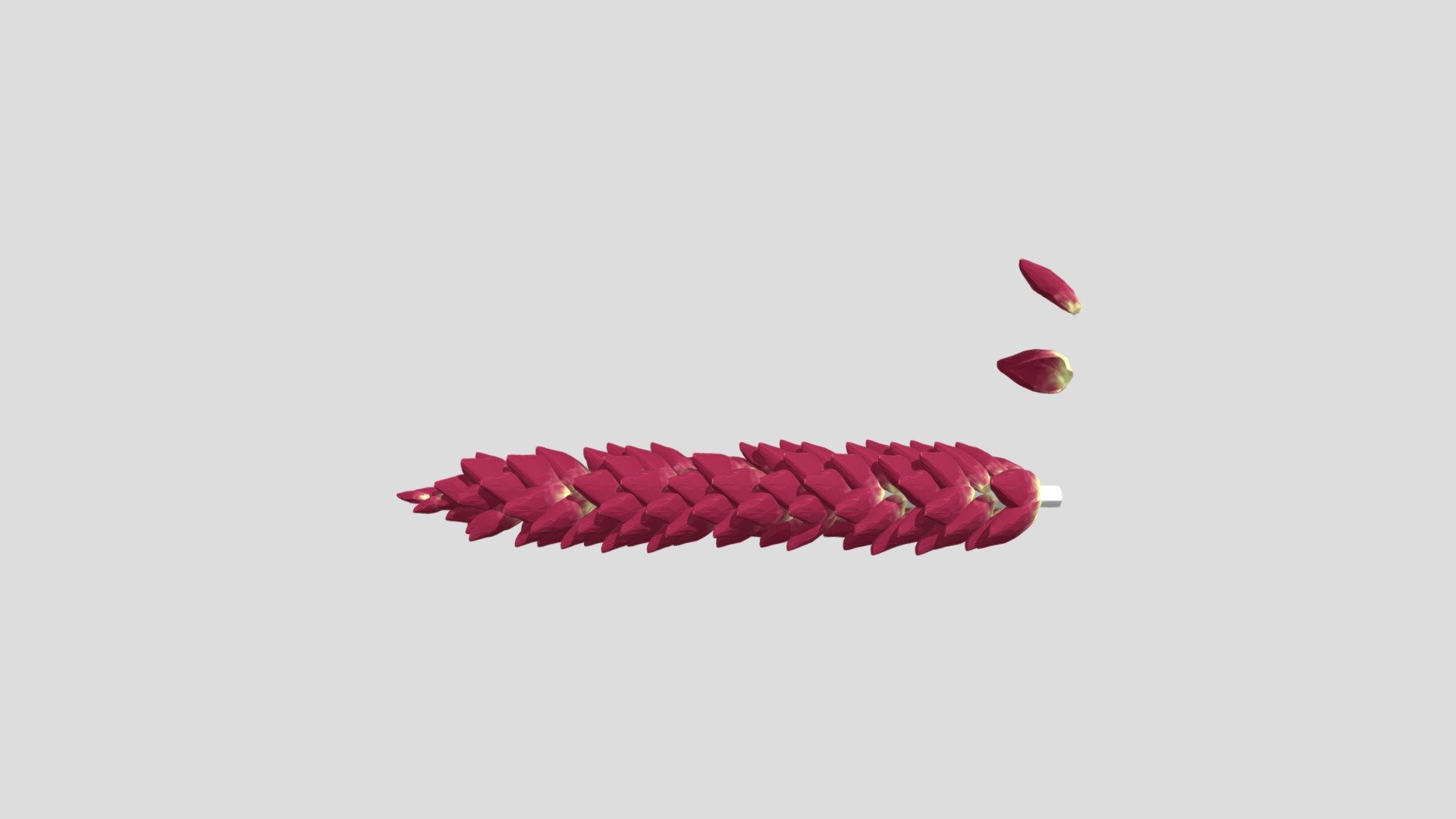 Sphagnum medium branch and leaves — Sketchfab embed 3D viewer