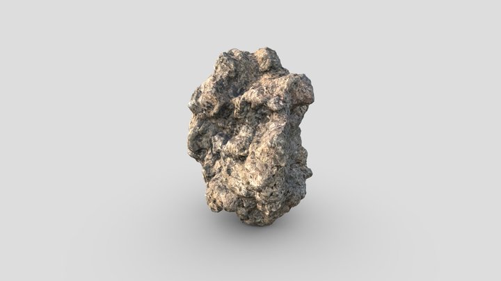 Photoscanned Volcanic Rock 3D Model