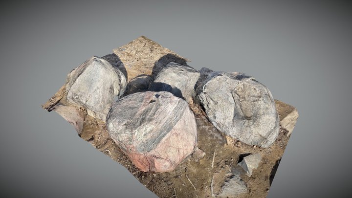 Rocks 3D Model