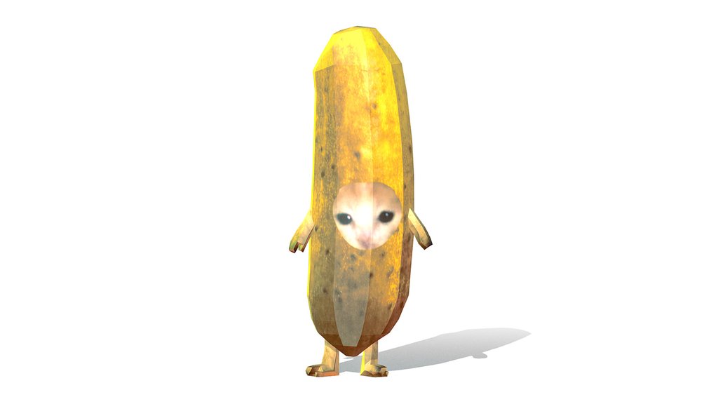 Cucumber Cat