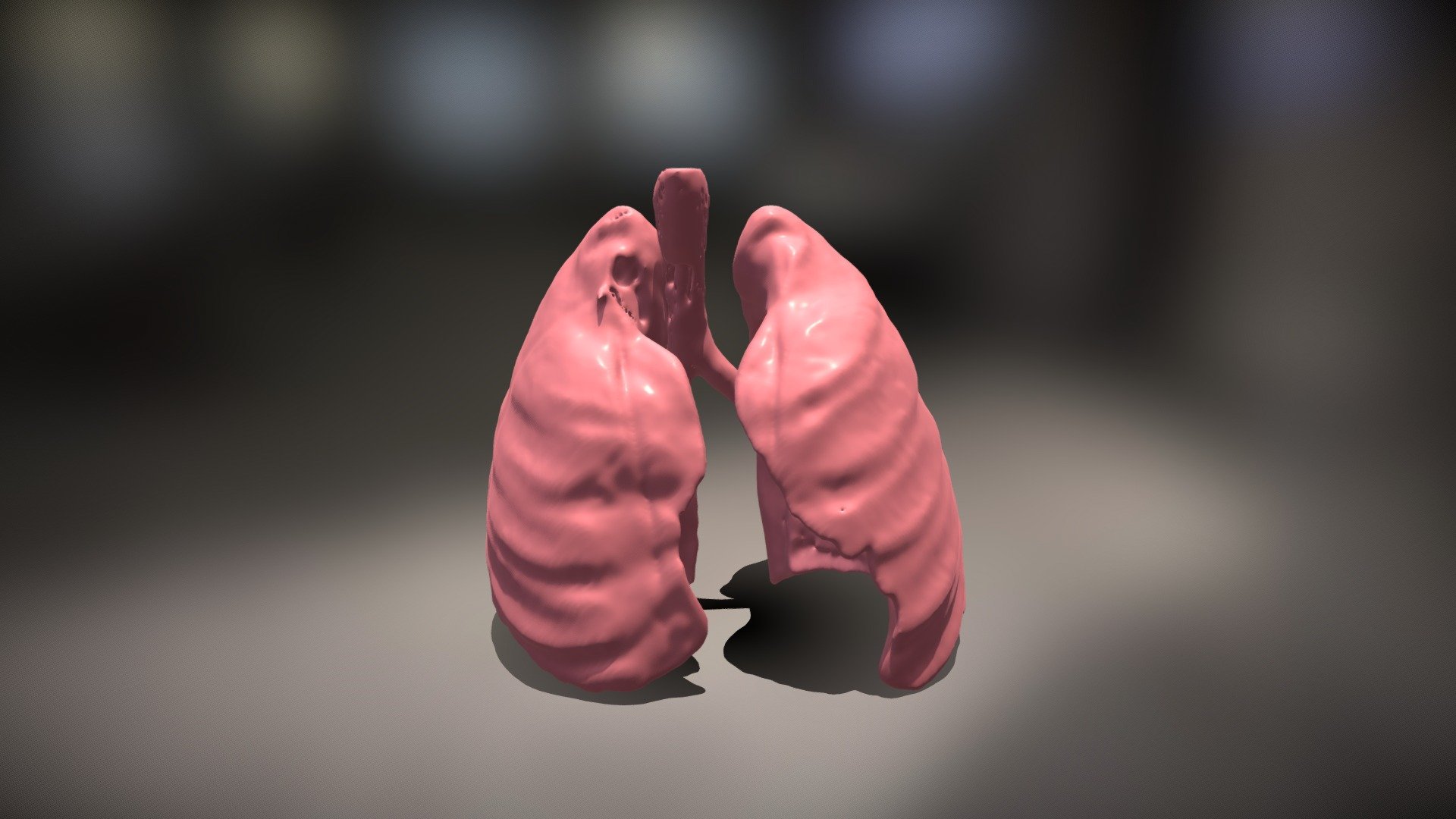 Lung Segmentations - Download Free 3D model by MuhamadjonD [04865c6 ...