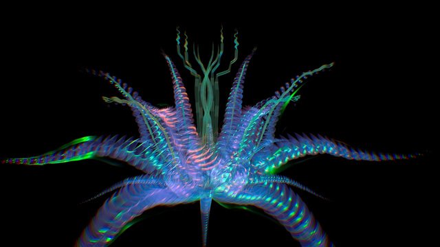 Succulence 2 3D Model