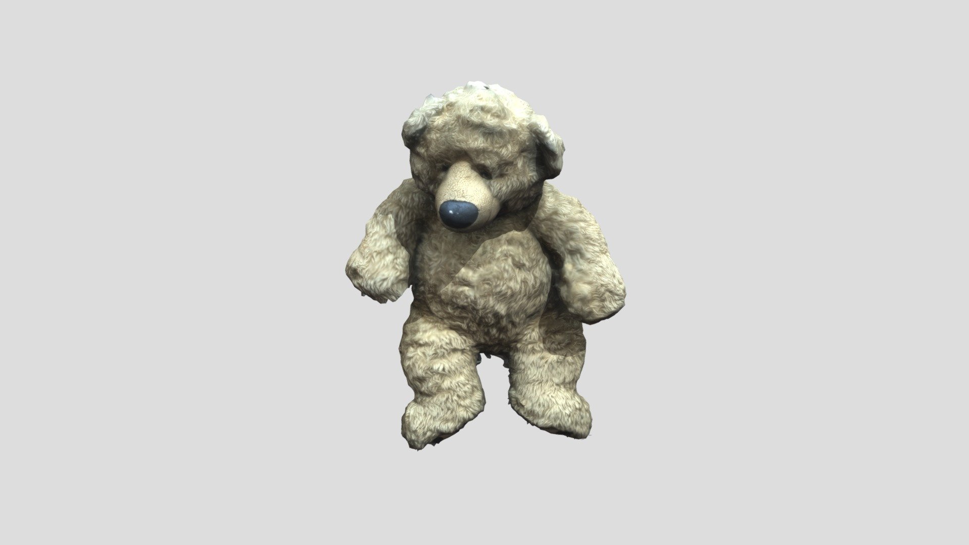 Teddy