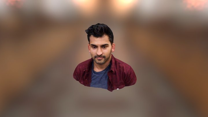 Anand Bust 3D Model