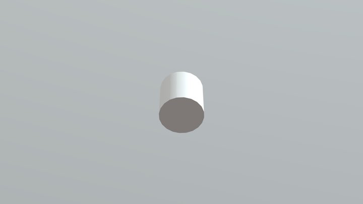 Cyl 3D Model