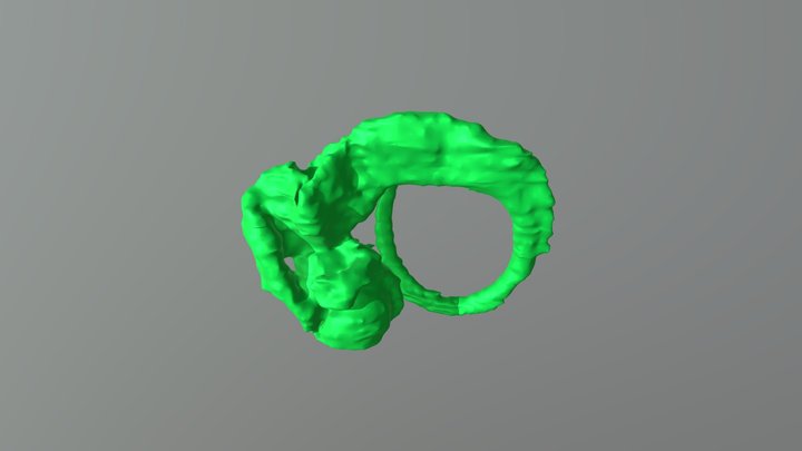 Mouse embryo CNS (E10.5) 3D Model