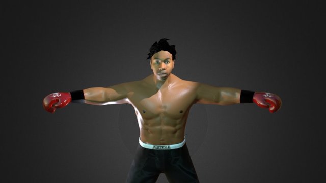BOXER LIGHT 2 3D Model