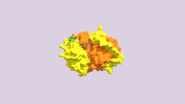 Subunidad catalítica de PKA (Surface) 3D Model