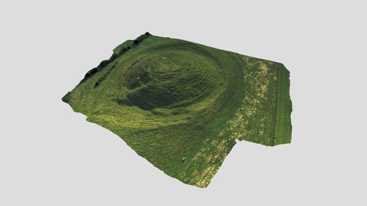 Skipsea Castle 3D Model