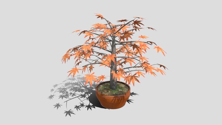 Plant_04 3D Model