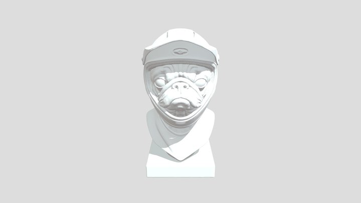 Pug Rider in MX halmet 3D Model
