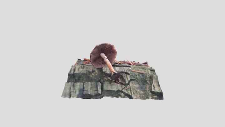 Weeping widow – Modello 3D gratuito STL