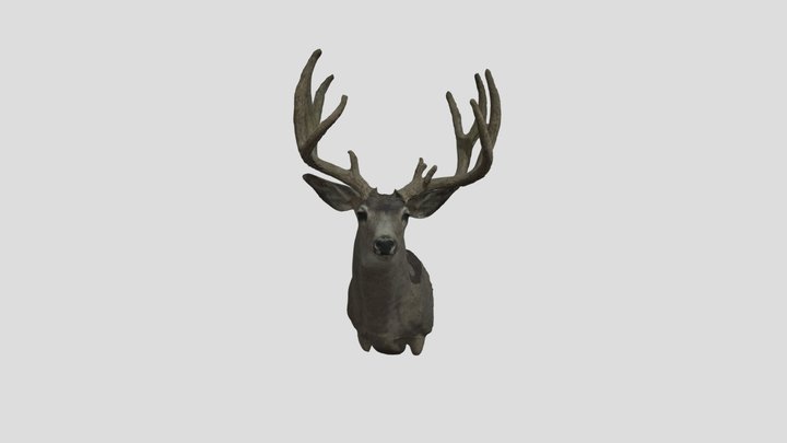 Velvet Buck 3D Model