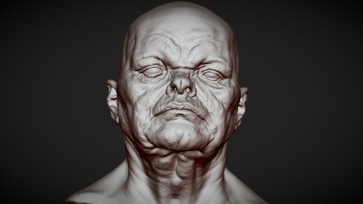 Head 1 from Heads Bundle 1 3D Model