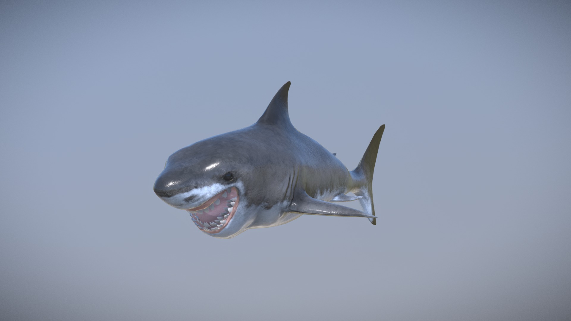 3D model Great White Shark - This is a 3D model of the Great White Shark. The 3D model is about a shark swimming underwater.