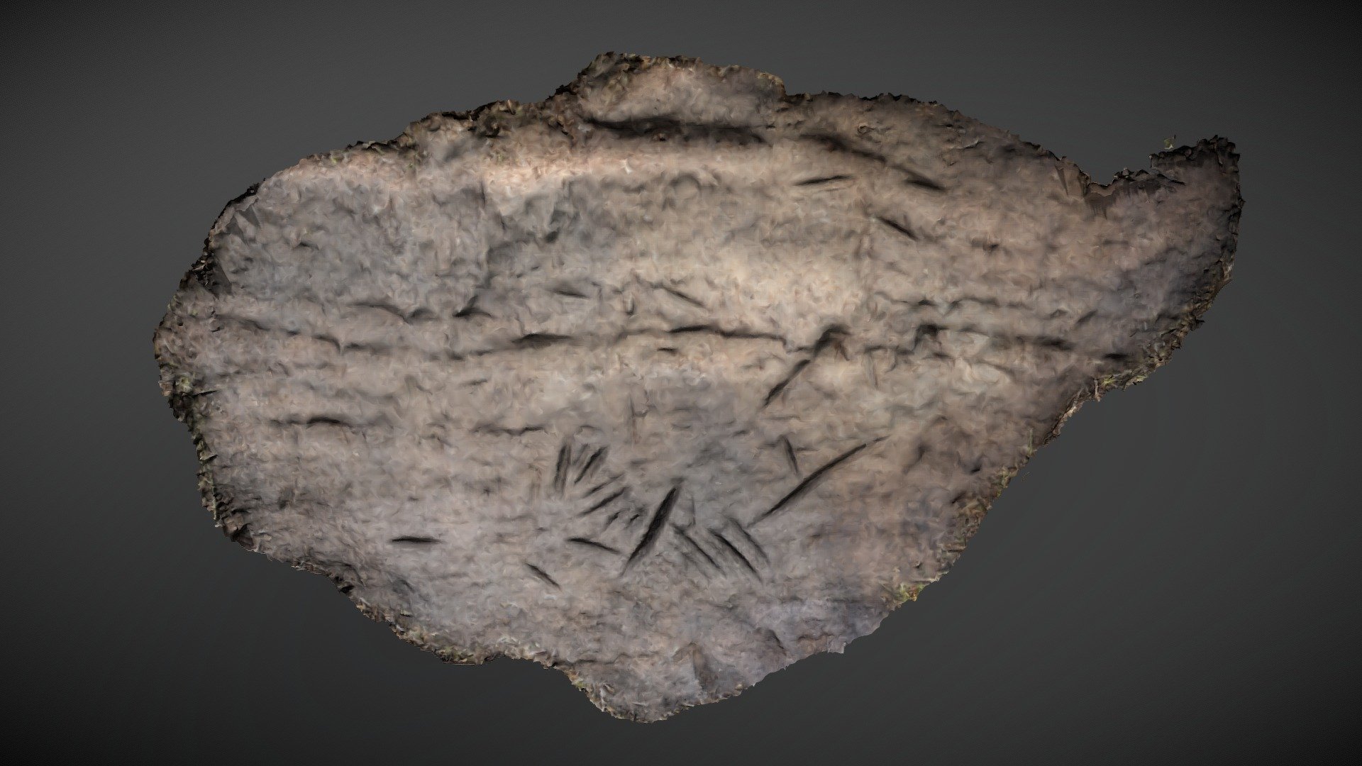 Broughmore Wood 7 - Stone Axe Polissoire