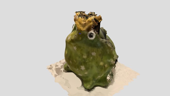 Froggy bank_Scandy Pro(Edited) 3D Model