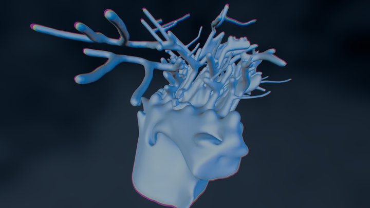 Forestcarton 3D Model
