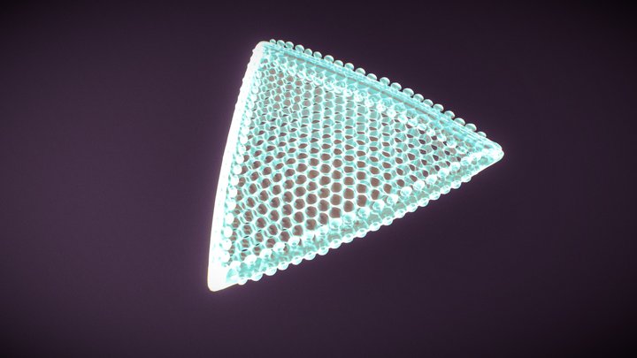 Triangular Diatom, Triceratium Favus 3D Model