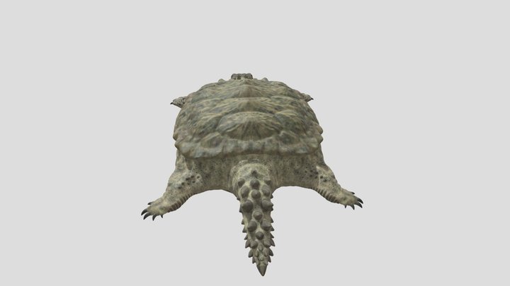 Dinorauls_proganochelys 3D Model