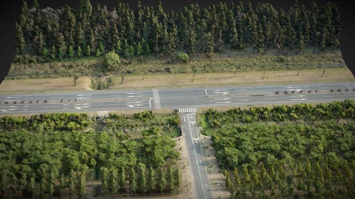 Forest, road and T-junction – Gratis 3D-model STL
