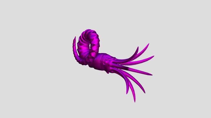nautiloid 3D Model
