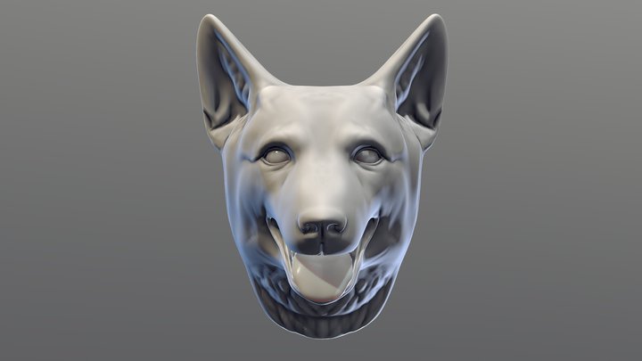 Dog head simple model 3D Model