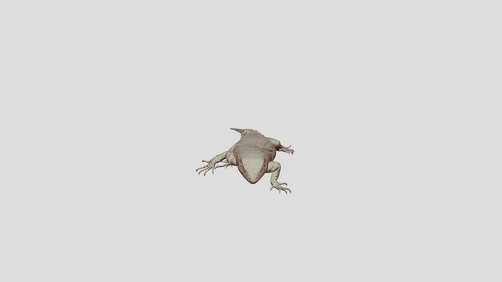 Lizard 3D Model