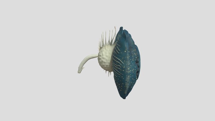 Surreal flower - El Bosco 3D Model