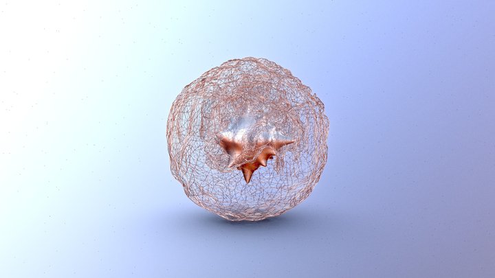 Foraminifera - Interwoven Microcosmos 3D Model