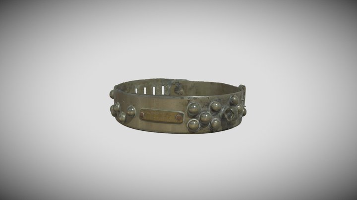 Dog Collar from HMS Hampshire 3D Model