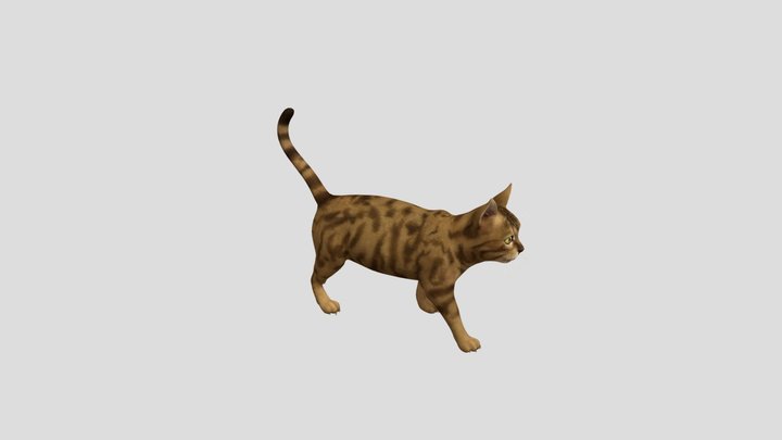 cat 3D