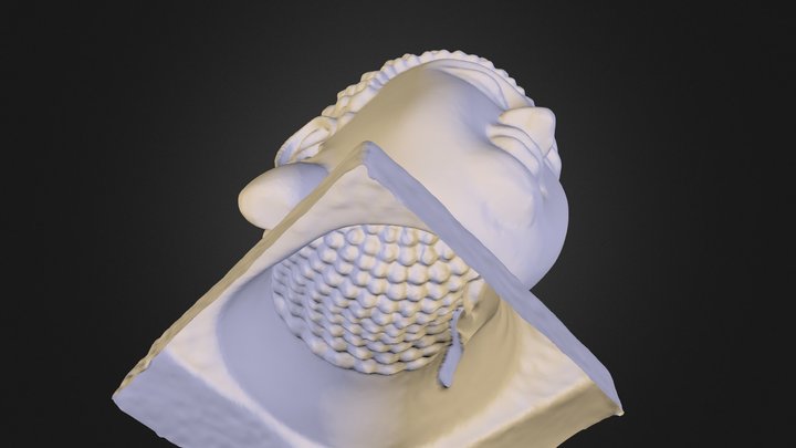 Buddha Head 3D Model