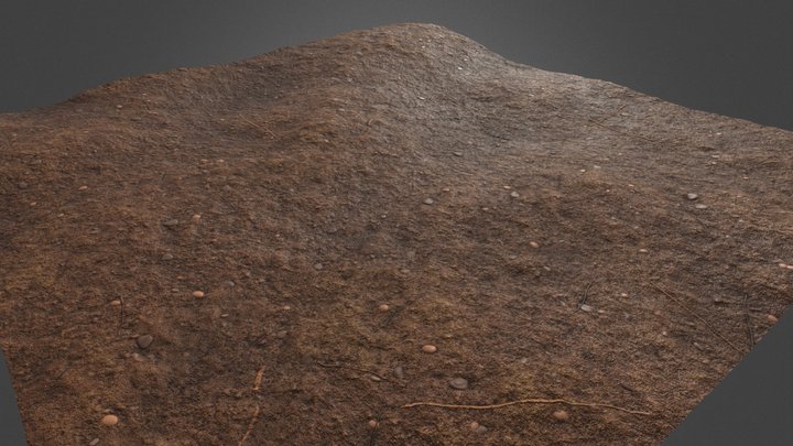 Barren Soil 3D Model