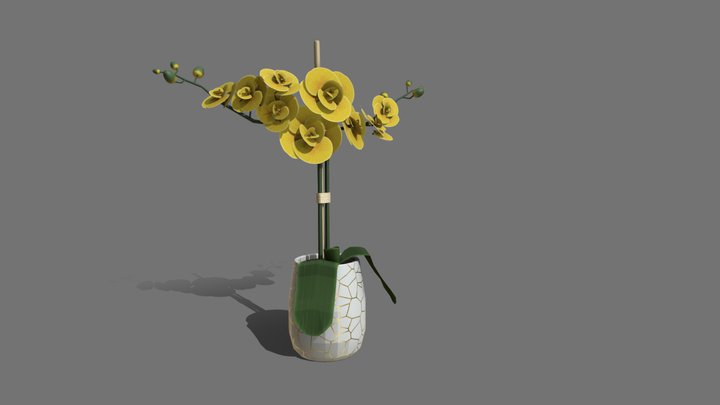 Yellow Flower 3D Model
