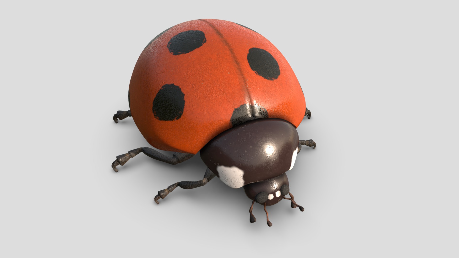 3D model Ladybug - This is a 3D model of the Ladybug. The 3D model is about a ladybug with a black hat and a black and white face.