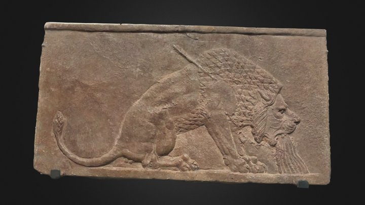 Caza Del Leon