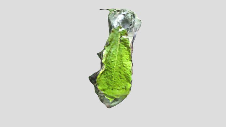 Arbol lira 3D Model