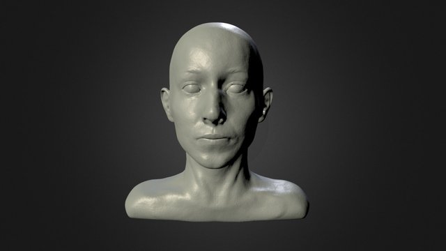Female Head Study 3D Model