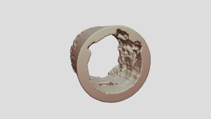 spool_cenpes_4rings 3D Model