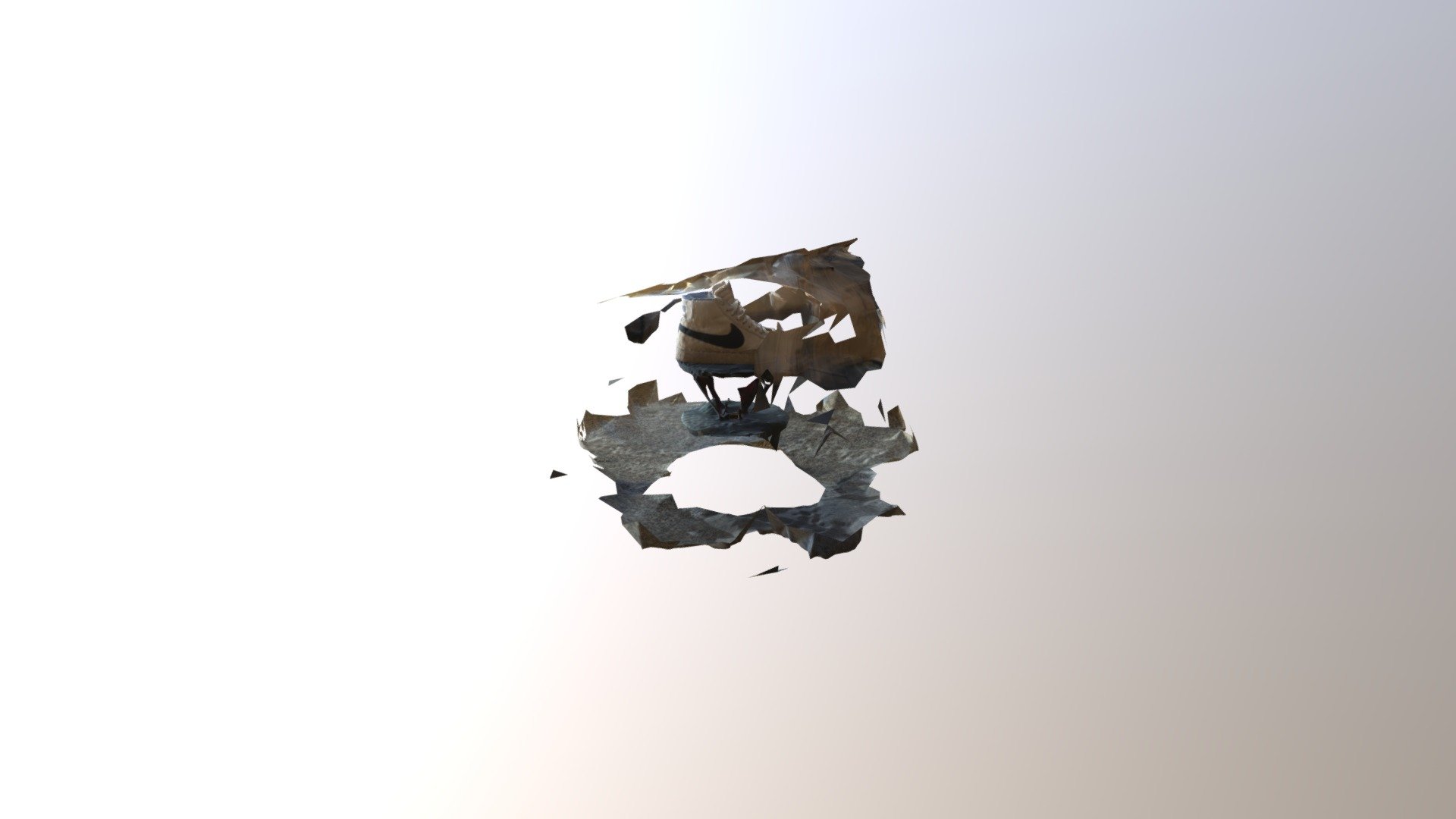 Photogrammetry Shoe