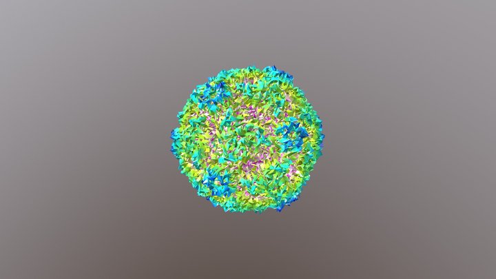 Enterovirus 3D Model